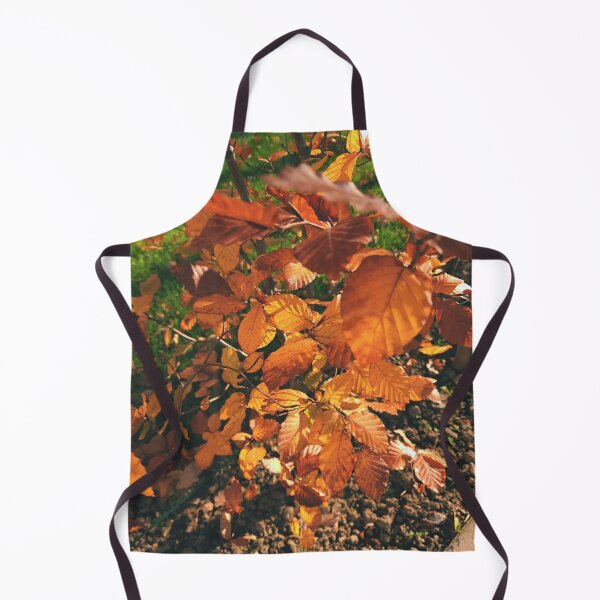Item preview, Autumn leaves in the sun - The colors of autumn - Photography designed and sold by greatnorris.