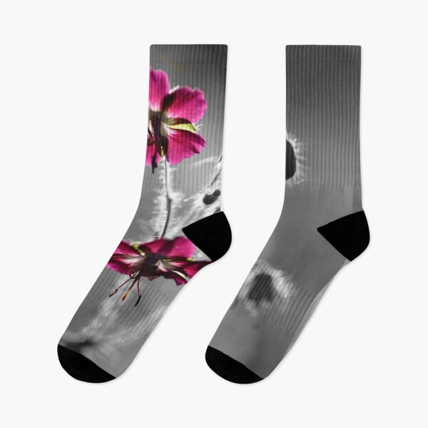 Item preview, Geranium in the Spotlight designed and sold by cuprum.