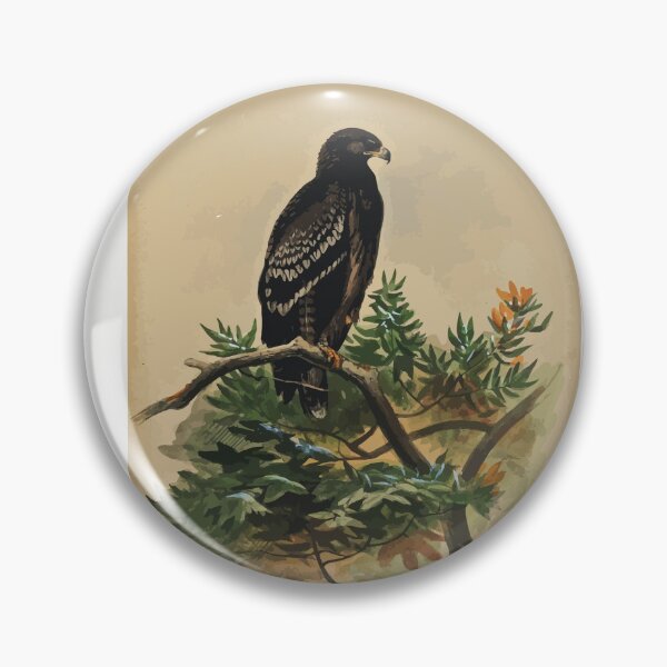 Item preview, Zoological sketches by Joseph Wolf 1861 to 1867 081 The Spotted Eagle designed and sold by WetdryvacRB01.