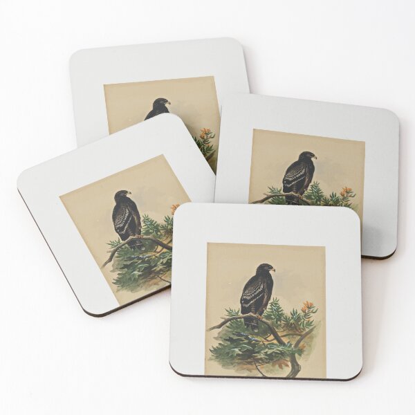 Item preview, Zoological sketches by Joseph Wolf 1861 to 1867 081 The Spotted Eagle designed and sold by WetdryvacRB01.