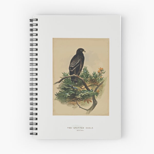 Item preview, Zoological sketches by Joseph Wolf 1861 to 1867 081 The Spotted Eagle designed and sold by WetdryvacRB01.