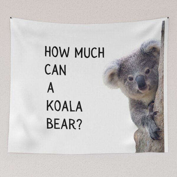 Item preview, How much can a koala bear? Photo of a koala and black text designed and sold by JellyBeenzz.