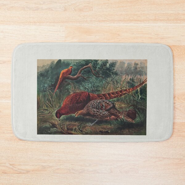 Item preview, Zoological sketches by Joseph Wolf 1861 to 1867 082 Soemmering's Pheasant designed and sold by WetdryvacRB01.
