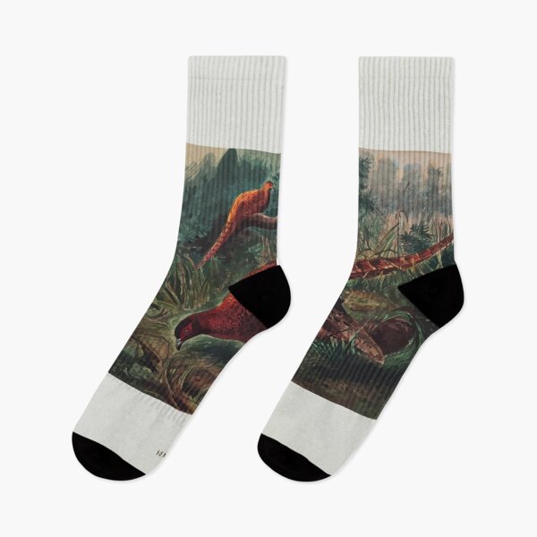 Item preview, Zoological sketches by Joseph Wolf 1861 to 1867 082 Soemmering's Pheasant designed and sold by WetdryvacRB01.