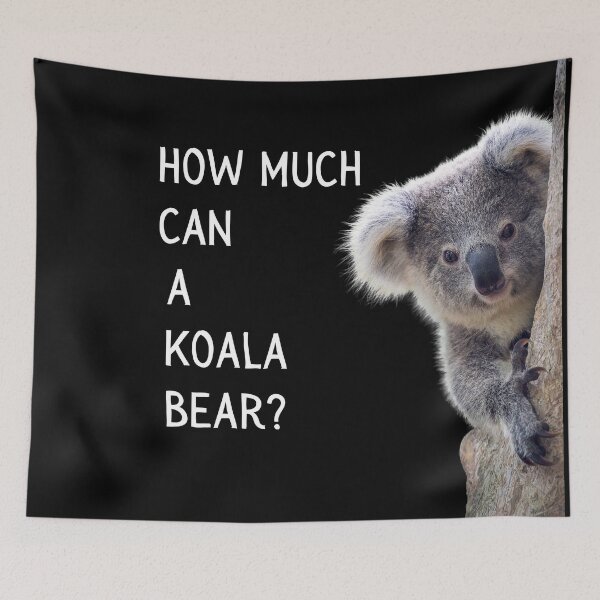 Item preview, How much can a koala bear? Photo of a koala and white text designed and sold by JellyBeenzz.