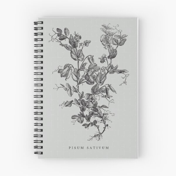Item preview, Vintage Plant Illustration I Print designed and sold by Rambling Renovators Shop.