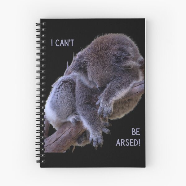 Item preview, I can't be arsed! Photo of a koala sleeping in a tree and grey text. designed and sold by JellyBeenzz.