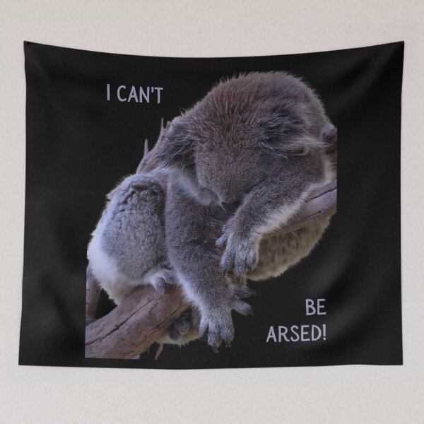 Item preview, I can't be arsed! Photo of a koala sleeping in a tree and grey text. designed and sold by JellyBeenzz.