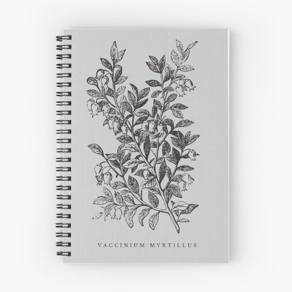 Item preview, Vintage Plant Illustration II Print designed and sold by Rambling Renovators Shop.