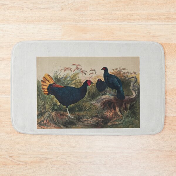 Item preview, Zoological sketches by Joseph Wolf 1861 to 1867 084 The Rufous Tailed Pheasant designed and sold by WetdryvacRB01.