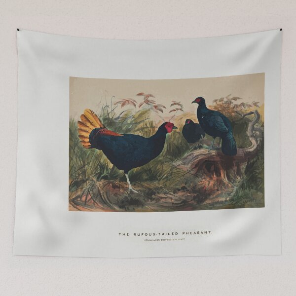 Item preview, Zoological sketches by Joseph Wolf 1861 to 1867 084 The Rufous Tailed Pheasant designed and sold by WetdryvacRB01.