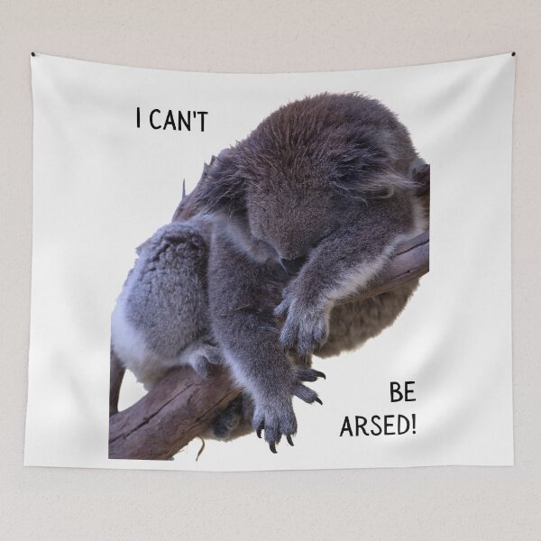 Item preview, I can't be arsed! Photo of a koala sleeping in a tree. White background, black text. designed and sold by JellyBeenzz.