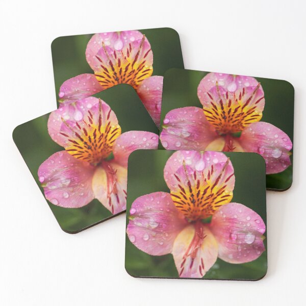 Item preview, Peruvian Lillie in the rain designed and sold by DVart-nz.