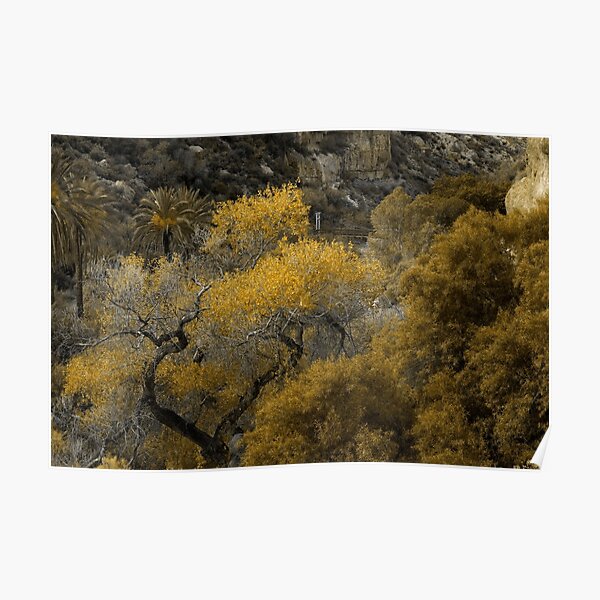 Overlooking the Garden Poster