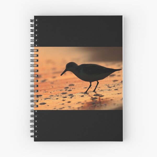 Item preview, Sandpiper Silhouette designed and sold by WorldDesign.