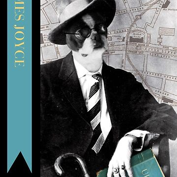 Artwork thumbnail, Boston James Joyce by Liza MacKinnon MacKomics Studio