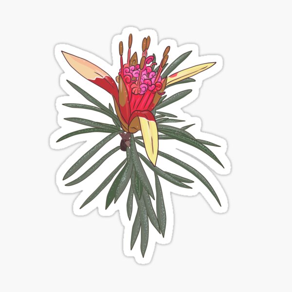 Australian natives floral design Sticker
