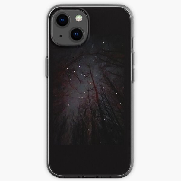 Himmlische Wälder iPhone Flexible Hülle