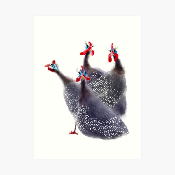 Gaggle of four Guinea fowl birds Art Print
