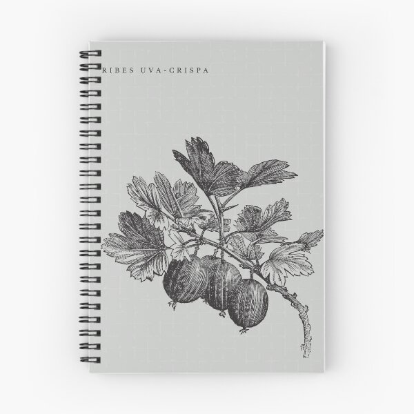 Item preview, Vintage Plant Illustration III Print designed and sold by Rambling Renovators Shop.
