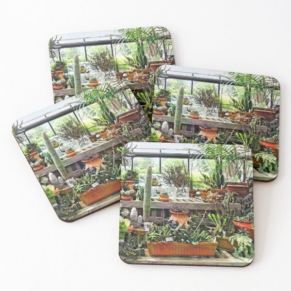 Item preview, Cactus in Greenhouse designed and sold by Susan Savad.