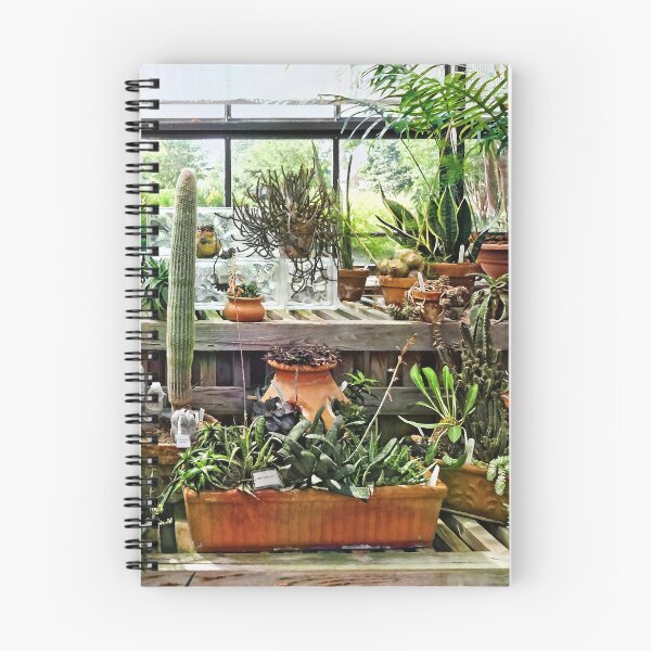 Item preview, Cactus in Greenhouse designed and sold by Susan Savad.