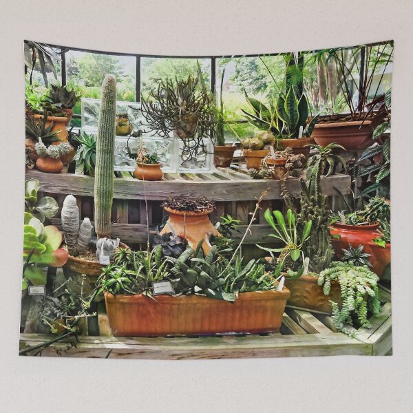 Item preview, Cactus in Greenhouse designed and sold by Susan Savad.