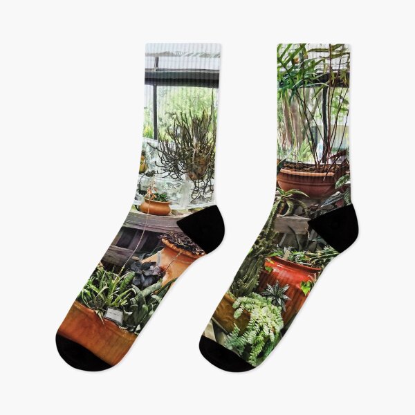 Item preview, Cactus in Greenhouse designed and sold by Susan Savad.