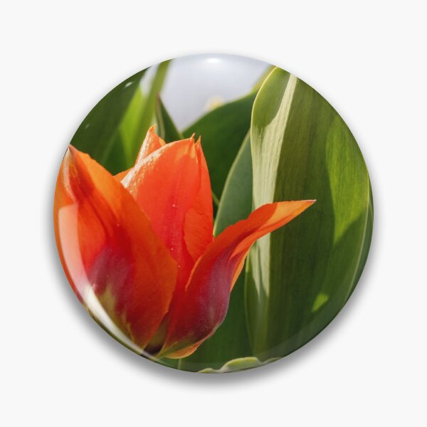 Item preview, Tulips designed and sold by Praytera.