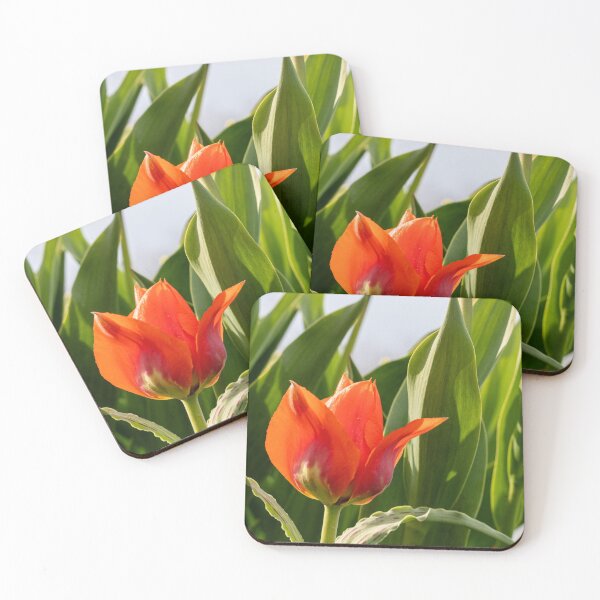 Item preview, Tulips designed and sold by Praytera.