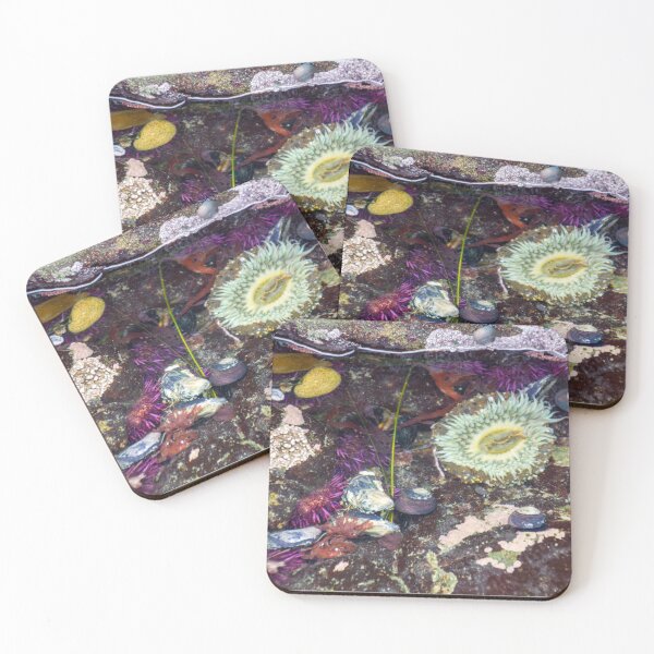 Item preview, Tide pool anemone Monterey Bay designed and sold by ProProject Manager.