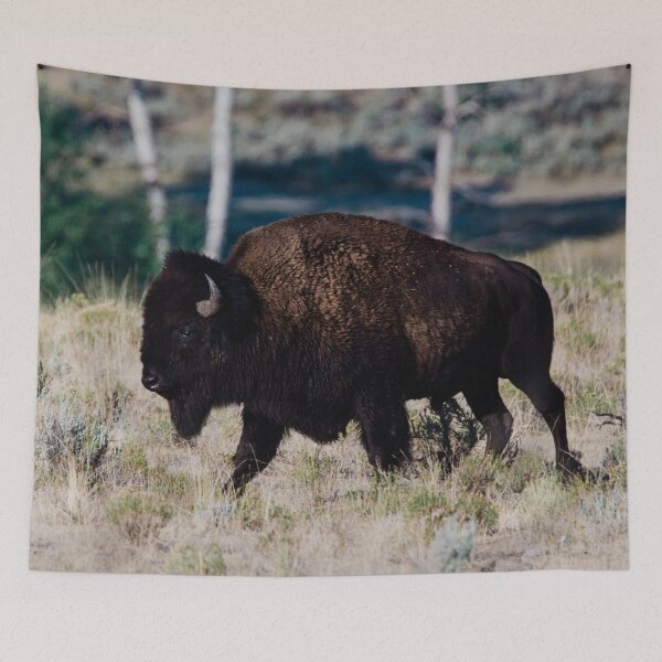 Item preview, American Bison designed and sold by Zurickdesigns.