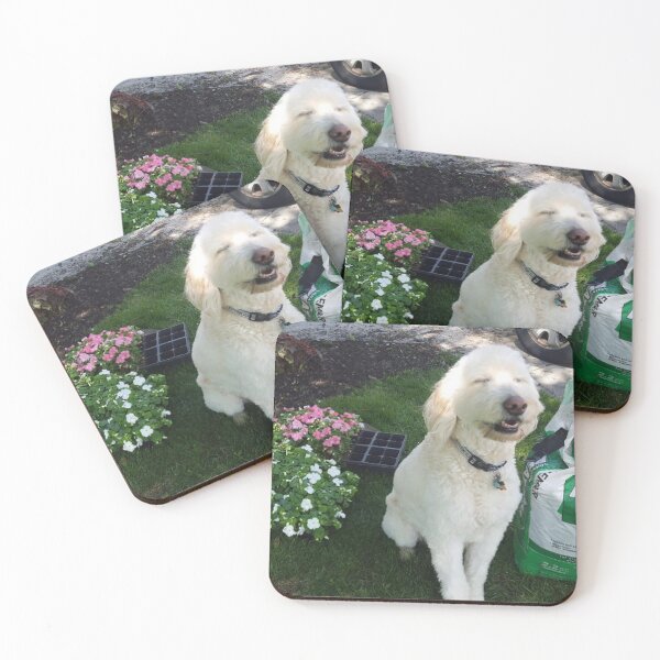 Item preview, flower boy designed and sold by Karbarry.
