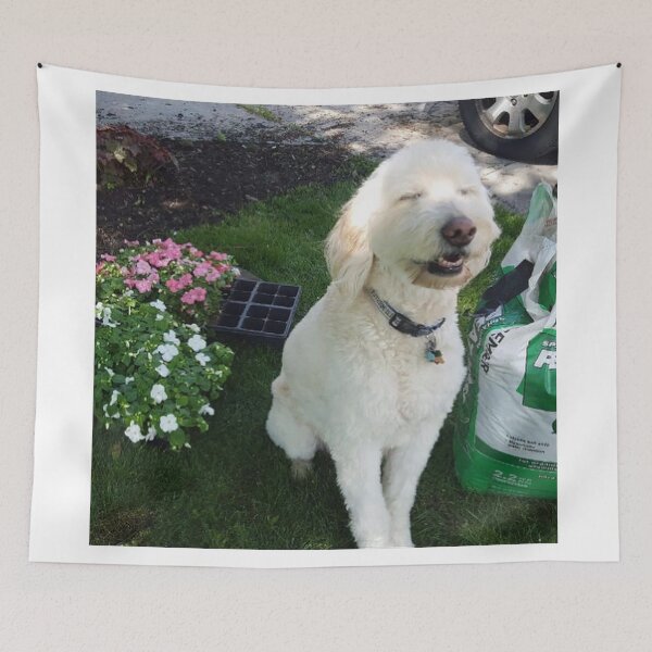 Item preview, flower boy designed and sold by Karbarry.