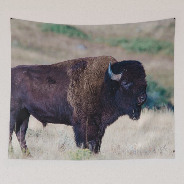 Item preview, American Bison designed and sold by Zurickdesigns.