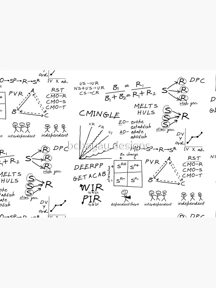 Pass the F%#king Test” Pen - Study Notes ABA