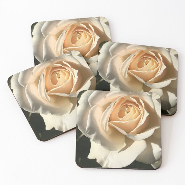 Item preview, Roses Sublime, Botanical Beauty: Gruss an Aachen wonder of the RTBG designed and sold by RoseAromas.