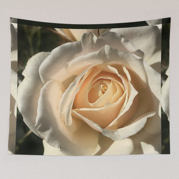 Item preview, Roses Sublime, Botanical Beauty: Gruss an Aachen wonder of the RTBG designed and sold by RoseAromas.