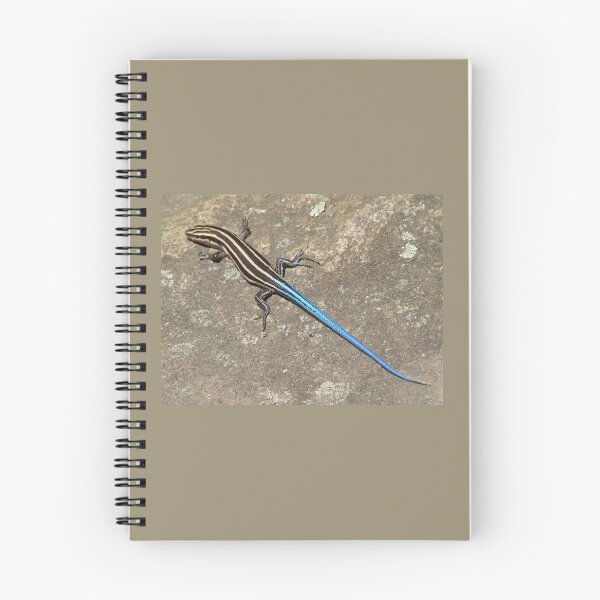Item preview, Blue Tailed Lizard I designed and sold by Jean Gregory Evans.