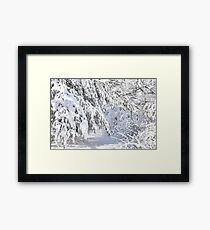 Narnia Framed Print