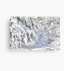 Narnia Canvas Print