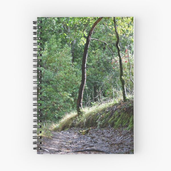 Item preview, Pathway designed and sold by ArcherArtist.