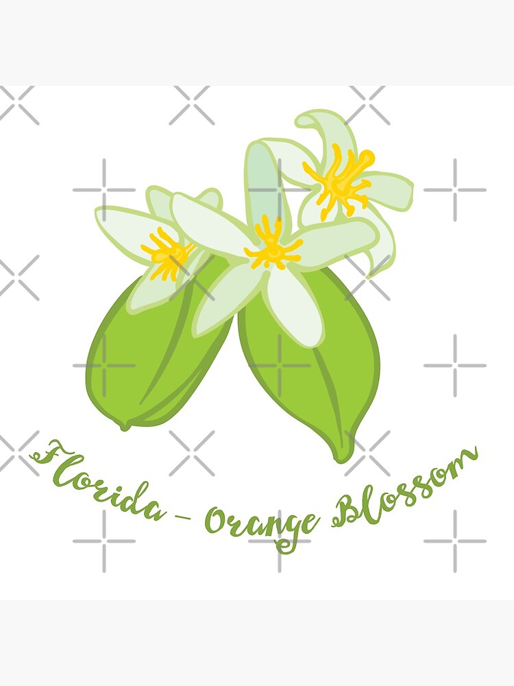 "Florida State Flower Orange Blossom" Poster for Sale by choisanezine