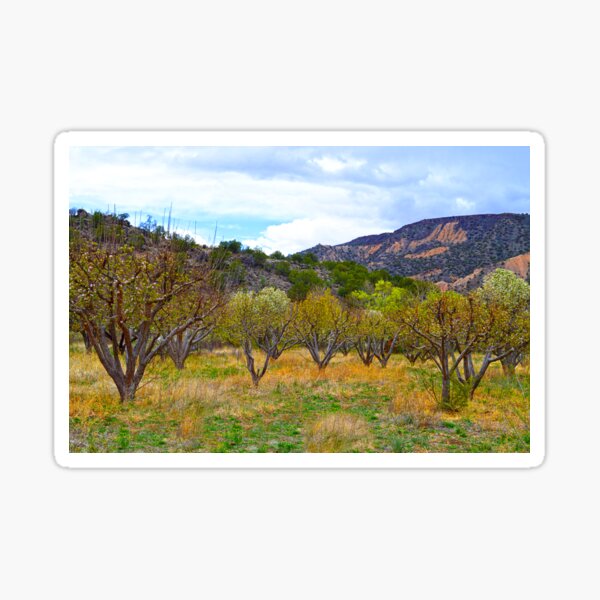 Item preview, New Mexico Apple Orchard in Bloom designed and sold by Catherine Sherman.