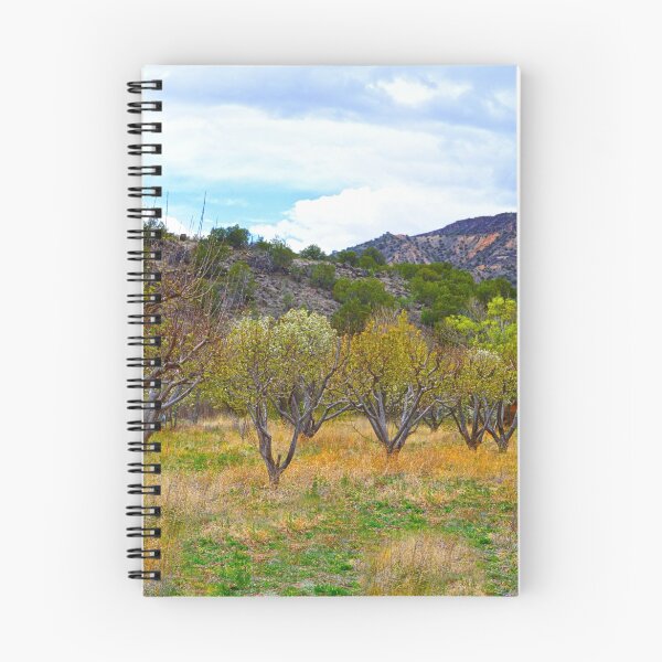 Item preview, New Mexico Apple Orchard in Bloom designed and sold by Catherine Sherman.