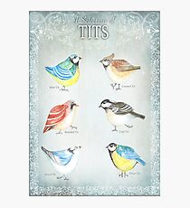 TITS Photographic Print