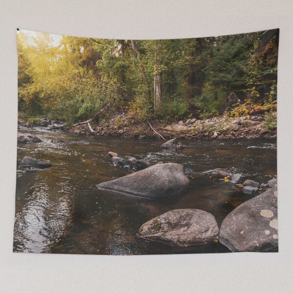 Item preview, Glowing Sunshine on Creek and Autumn Forest designed and sold by Amy Mitchell.
