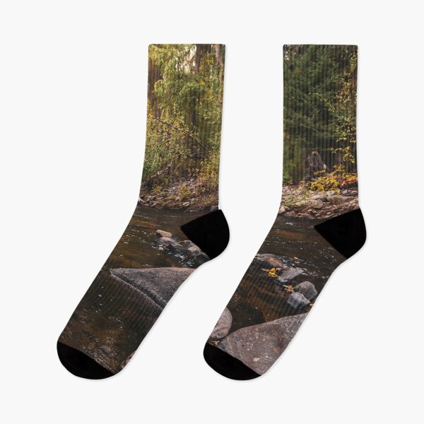 Item preview, Glowing Sunshine on Creek and Autumn Forest designed and sold by Amy Mitchell.