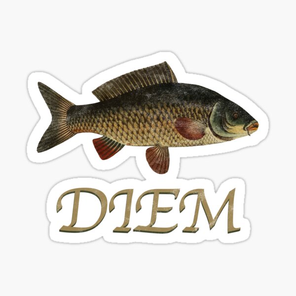 Carp Fishing-Custom Text Carp Sticker