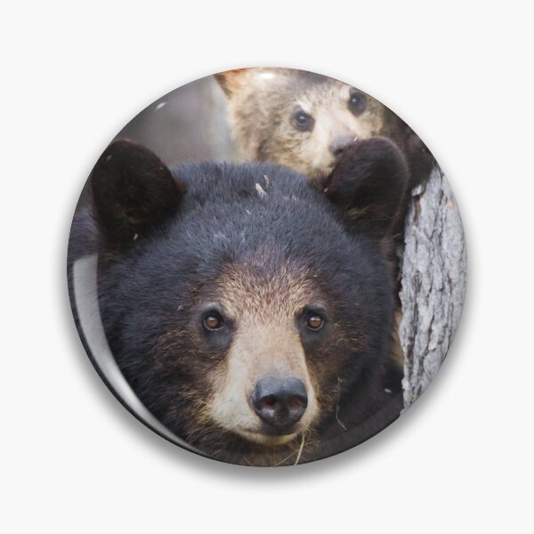 Item preview, Black Bear and cub designed and sold by Jukka Jantunen.
